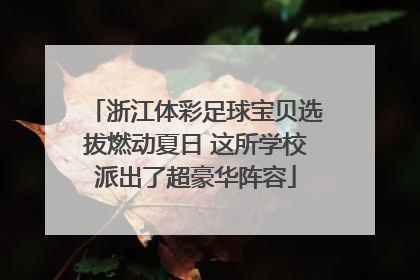浙江体彩足球宝贝选拔燃动夏日 这所学校派出了超豪华阵容