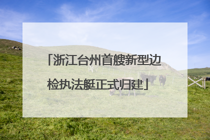 浙江台州首艘新型边检执法艇正式归建