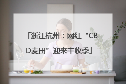 浙江杭州：网红“CBD麦田”迎来丰收季