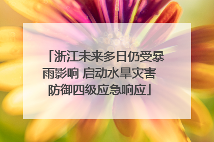 浙江未来多日仍受暴雨影响 启动水旱灾害防御四级应急响应