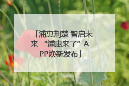 浦惠荆楚 智启未来 “浦惠来了”APP焕新发布