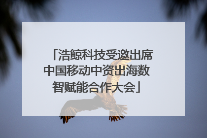 浩鲸科技受邀出席中国移动中资出海数智赋能合作大会