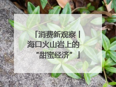 消费新观察丨海口火山岩上的“甜蜜经济”