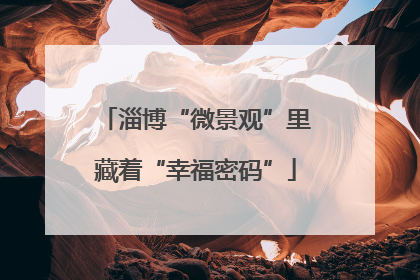 淄博“微景观”里藏着“幸福密码”