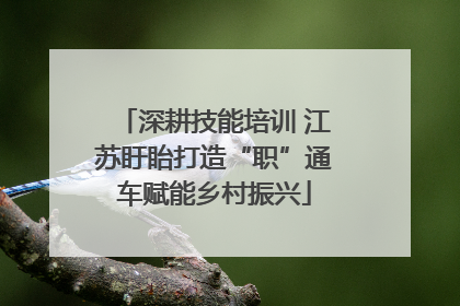 深耕技能培训 江苏盱眙打造“职”通车赋能乡村振兴