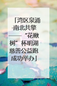 湾区泉涌·南北共擎——“花楸树”杯明湖慈善公益跑成功举办