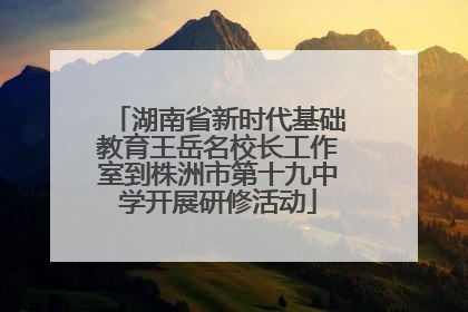 湖南省新时代基础教育王岳名校长工作室到株洲市第十九中学开展研修活动