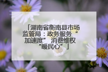 湖南省衡南县市场监管局：政务服务“加速度” 消费维权“暖民心”