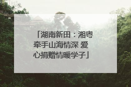 湖南新田：湘粤牵手山海情深 爱心捐赠情暖学子