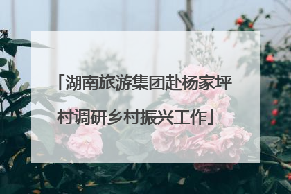 湖南旅游集团赴杨家坪村调研乡村振兴工作