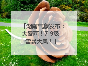湖南气象发布：大暴雨！7-9级雷暴大风！