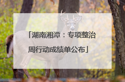 湖南湘潭：专项整治周行动成绩单公布