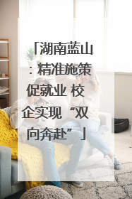湖南蓝山：精准施策促就业 校企实现“双向奔赴”