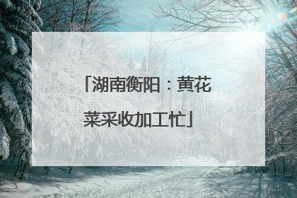 湖南衡阳：黄花菜采收加工忙