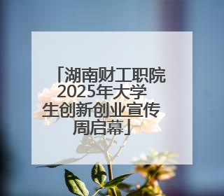 湖南财工职院2025年大学生创新创业宣传周启幕