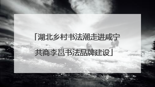 湖北乡村书法潮走进咸宁 共商李邕书法品牌建设