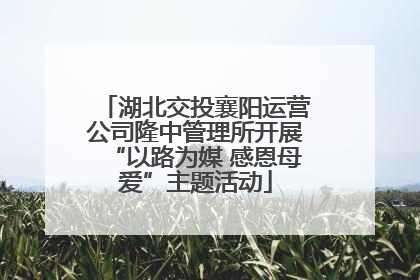 湖北交投襄阳运营公司隆中管理所开展“以路为媒 感恩母爱”主题活动