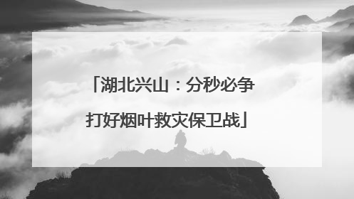 湖北兴山：分秒必争 打好烟叶救灾保卫战