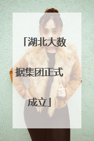 湖北大数据集团正式成立