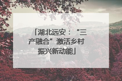 湖北远安：“三产融合”激活乡村振兴新动能