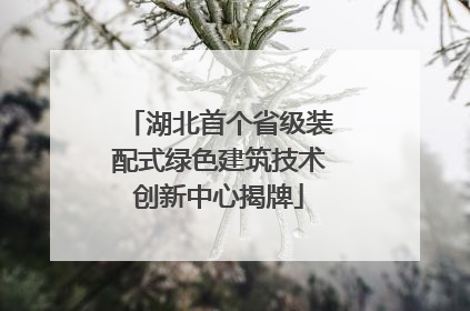 湖北首个省级装配式绿色建筑技术创新中心揭牌