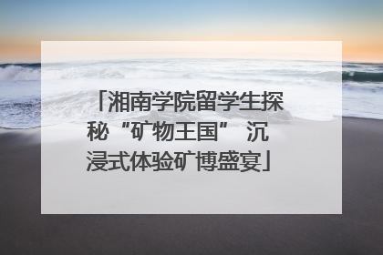 湘南学院留学生探秘“矿物王国” 沉浸式体验矿博盛宴