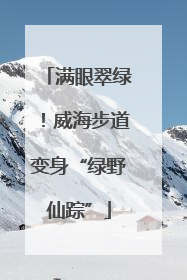 满眼翠绿！威海步道变身“绿野仙踪”
