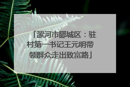 漯河市郾城区：驻村第一书记王元明带领群众走出致富路