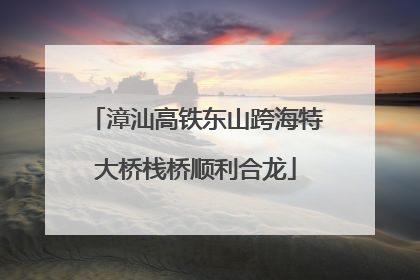 漳汕高铁东山跨海特大桥栈桥顺利合龙
