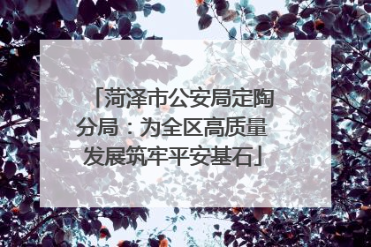 菏泽市公安局定陶分局：为全区高质量发展筑牢平安基石