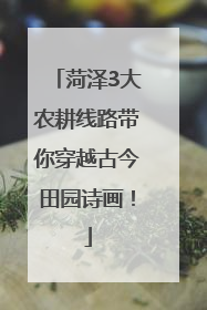 菏泽3大农耕线路带你穿越古今田园诗画！