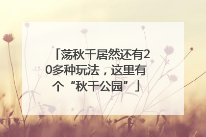 荡秋千居然还有20多种玩法，这里有个“秋千公园”