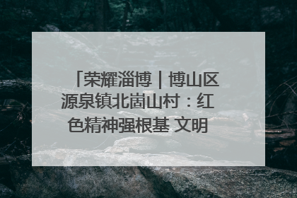 荣耀淄博｜博山区源泉镇北崮山村：红色精神强根基 文明新风润山乡