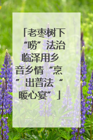 老枣树下“唠”法治 临泽用乡音乡情“烹”出普法“暖心宴”