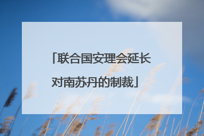 联合国安理会延长对南苏丹的制裁