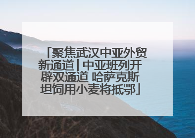 聚焦武汉中亚外贸新通道│中亚班列开辟双通道 哈萨克斯坦饲用小麦将抵鄂