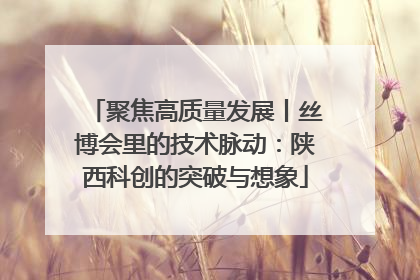 聚焦高质量发展丨丝博会里的技术脉动：陕西科创的突破与想象