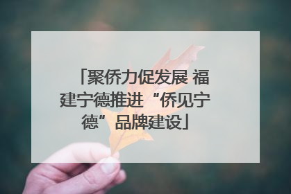 聚侨力促发展 福建宁德推进“侨见宁德”品牌建设