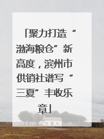 聚力打造“渤海粮仓”新高度，滨州市供销社谱写“三夏”丰收乐章