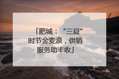肥城：“三夏”时节金麦浪，供销服务助丰收