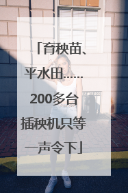育秧苗、平水田……200多台插秧机只等一声令下