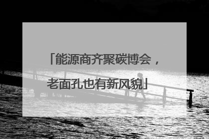 能源商齐聚碳博会，老面孔也有新风貌