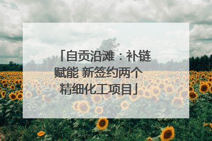 自贡沿滩：补链赋能 新签约两个精细化工项目