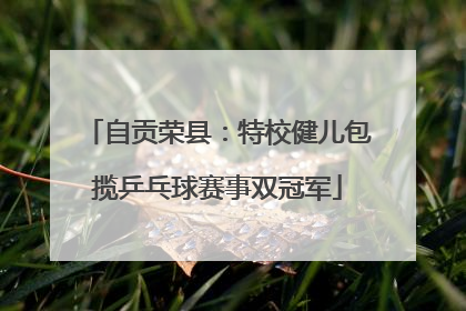 自贡荣县：特校健儿包揽乒乓球赛事双冠军