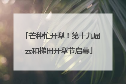 芒种忙开犁！第十九届云和梯田开犁节启幕