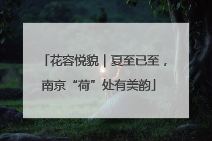 花容悦貌｜夏至已至，南京“荷”处有美韵
