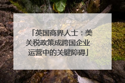 英国商界人士：美关税政策成跨国企业运营中的关键障碍