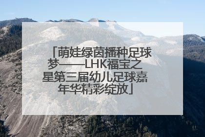 萌娃绿茵播种足球梦——LHK福宝之星第三届幼儿足球嘉年华精彩绽放