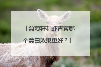 葡萄籽和虾青素哪个美白效果更好？