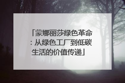 蒙娜丽莎绿色革命：从绿色工厂到低碳生活的价值传递